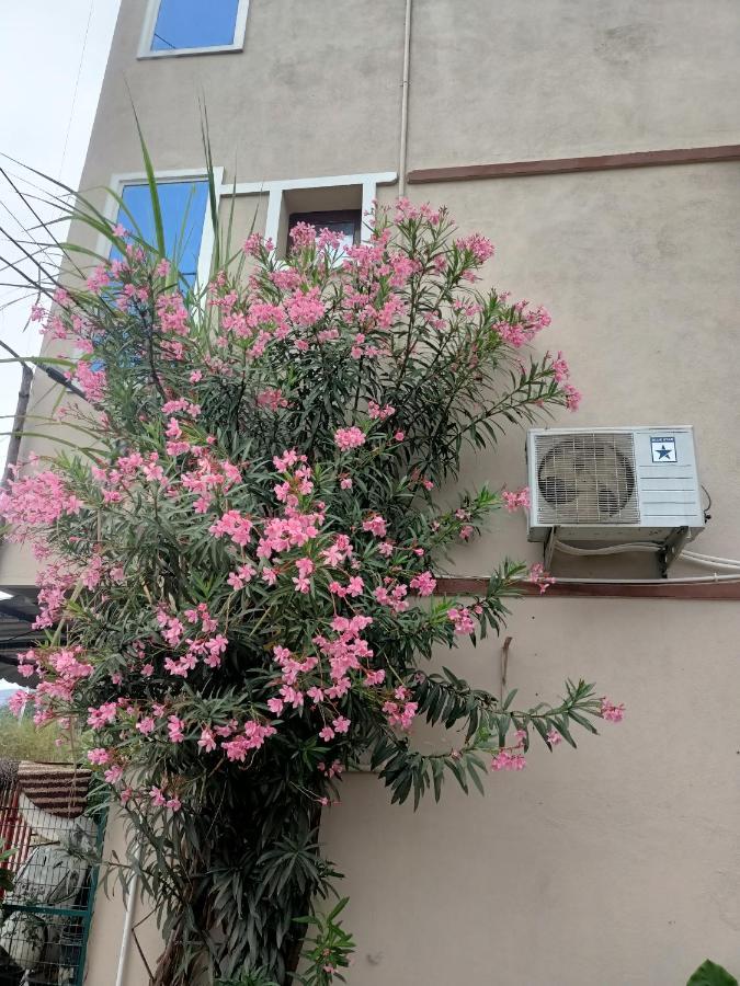 Advik Homestays Тирупати Екстериор снимка